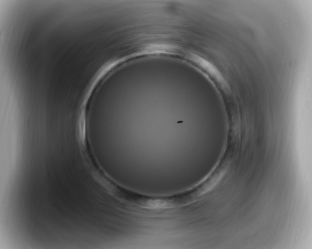 X0000099951275200805231314
