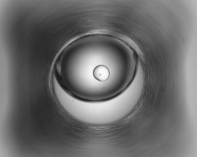 X0000099951276200805231314