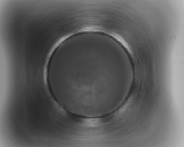 X0000099951277200805231314