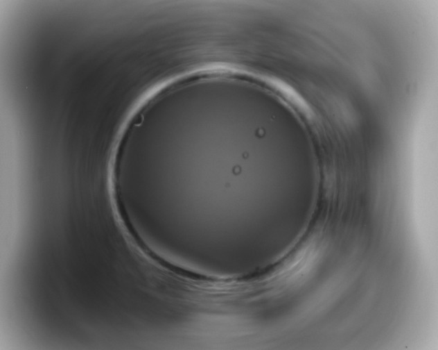 X0000099951279200805231314
