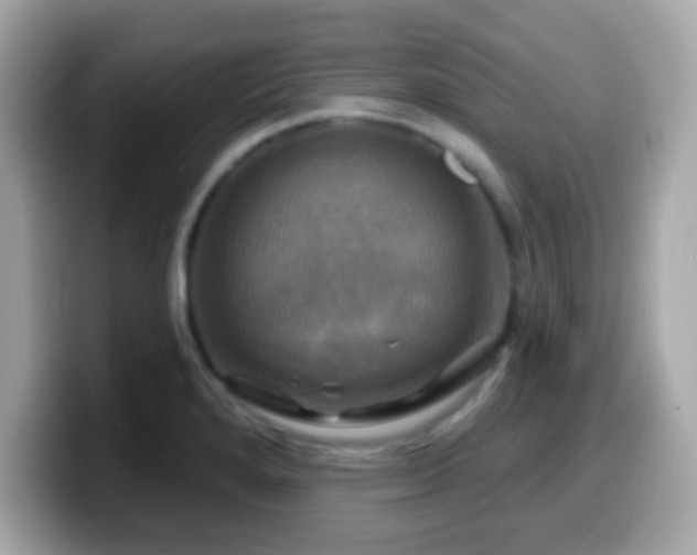 X0000099951280200805231314