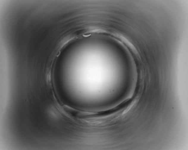 X0000099951281200805231314
