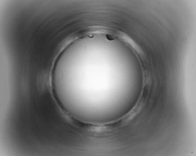 X0000099951282200805231314