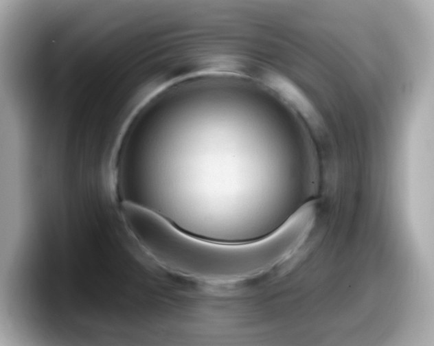 X0000099951284200805231314