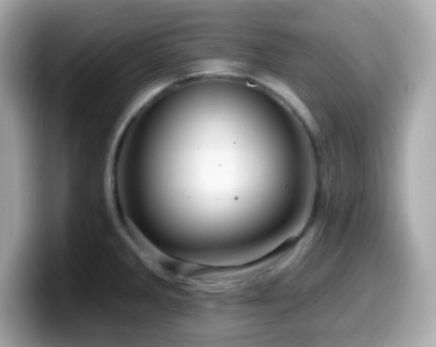 X0000099951285200805231314