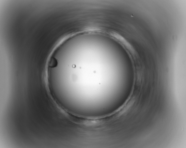 X0000099951286200805231314