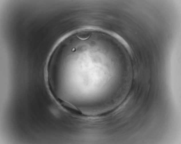 X0000099951287200805231314