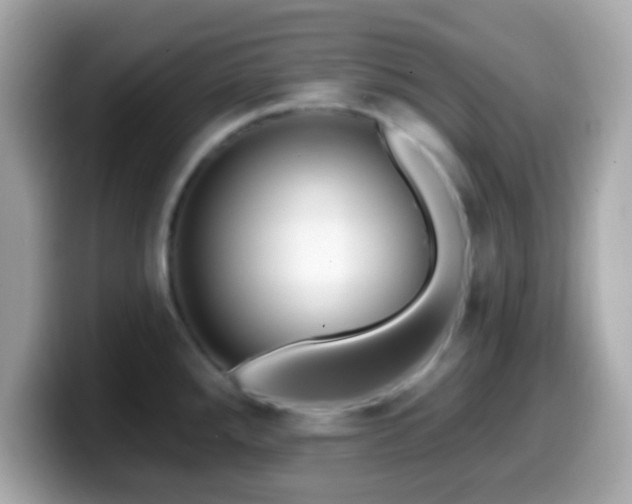 X0000099951288200805231314