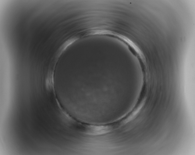 X0000099951289200805231314
