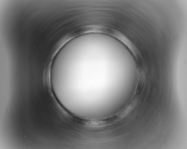 X0000099951290200805231314