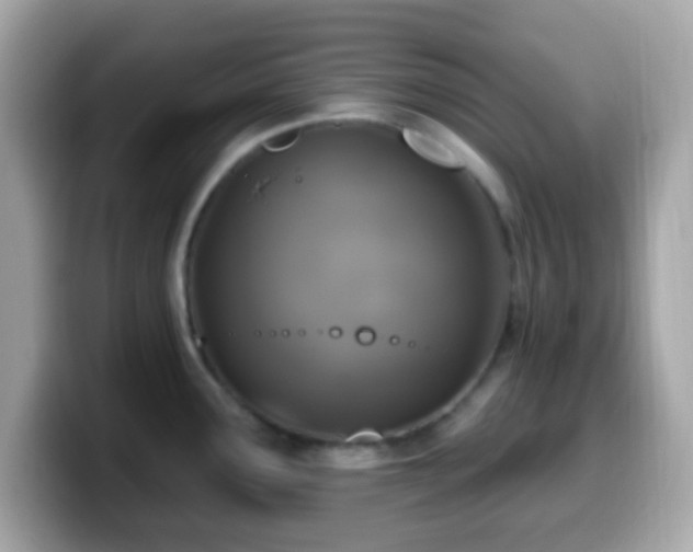 X0000099951291200805231314