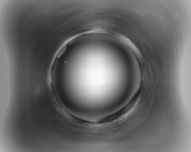 X0000099951292200805231314