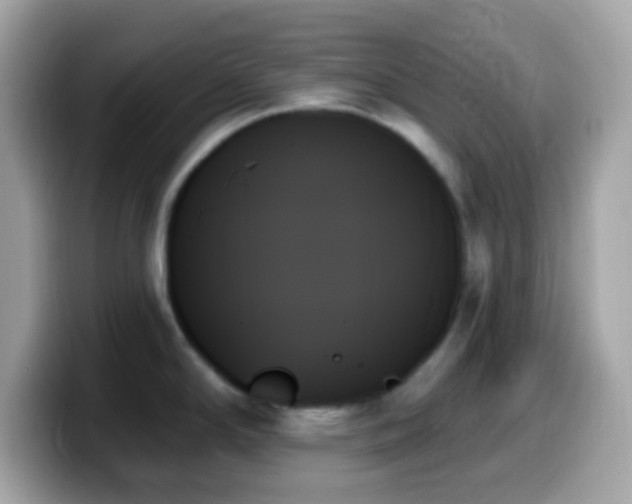 X0000099951294200805231314