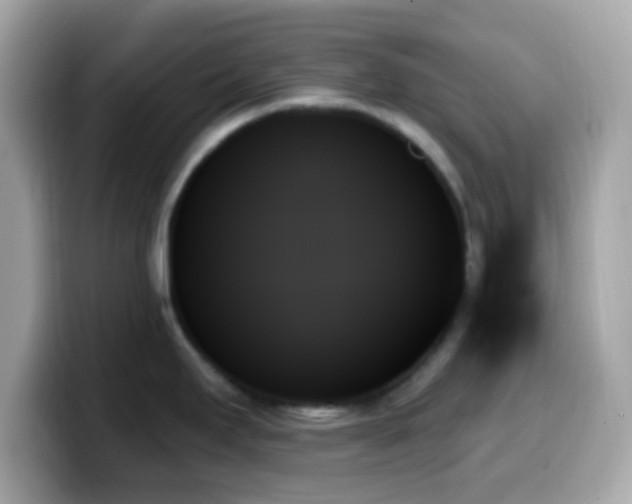 X0000099951295200805231314