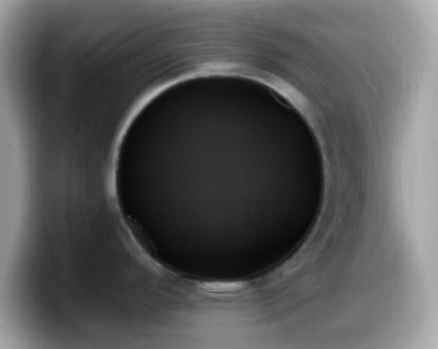 X0000099951296200805231314