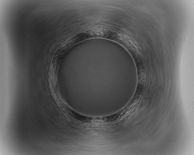 X0000099951297200805231313