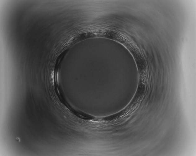 X0000099951298200805231313