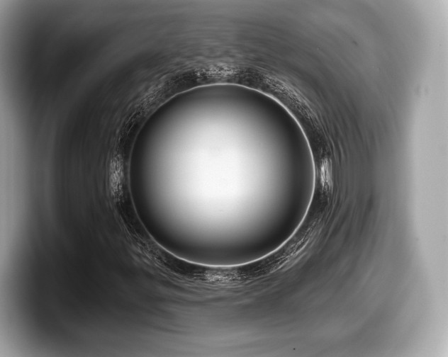 X0000099951299200805231313