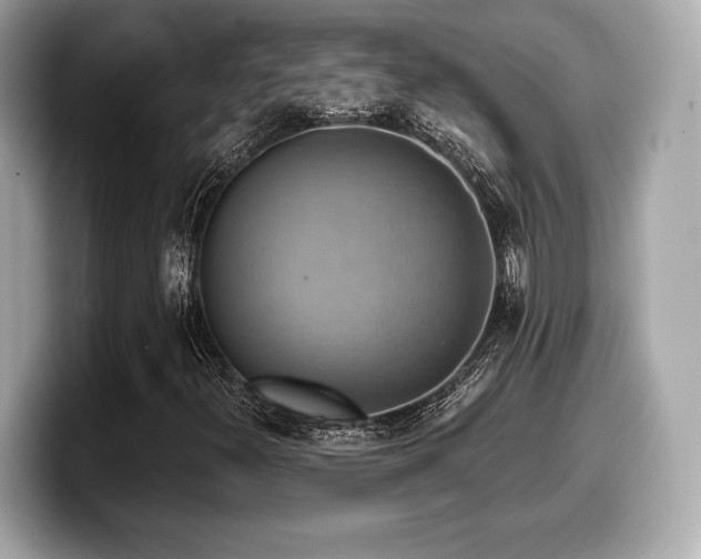 X0000099951300200805231313