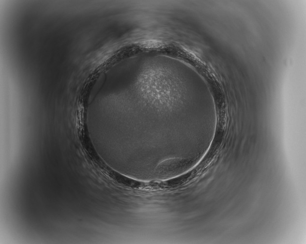 X0000099951301200805231313