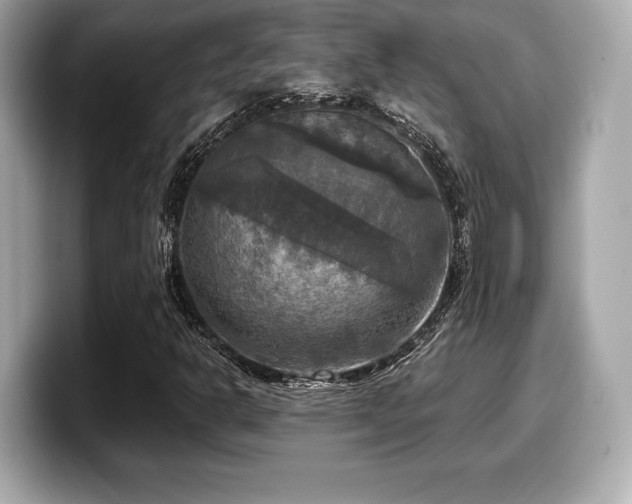 X0000099951302200805231313