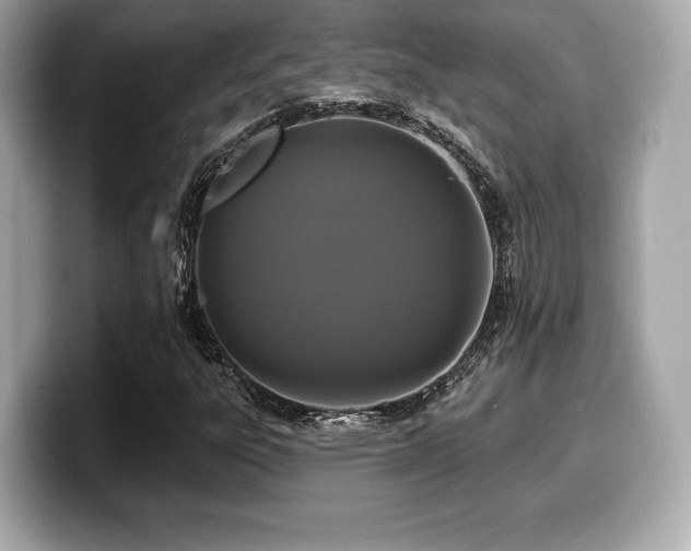 X0000099951303200805231313