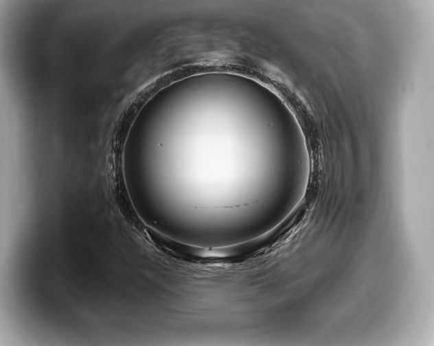 X0000099951304200805231313