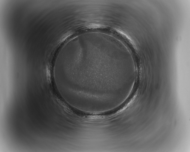 X0000099951305200805231313