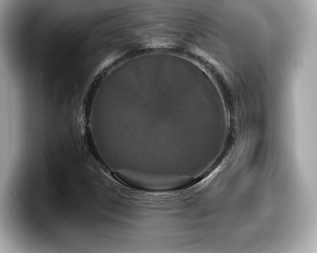 X0000099951306200805231313