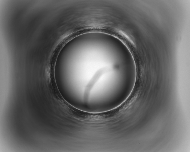 X0000099951307200805231313