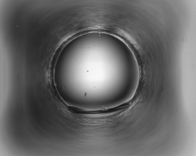 X0000099951308200805231313