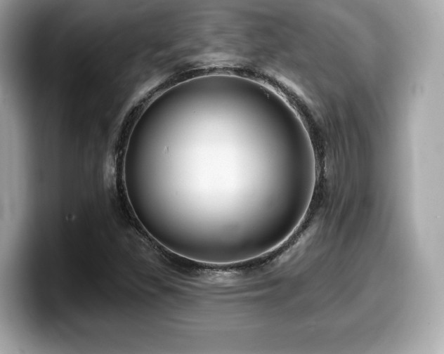 X0000099951309200805231313