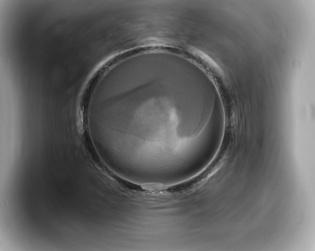 X0000099951310200805231313