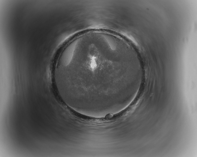 X0000099951311200805231313