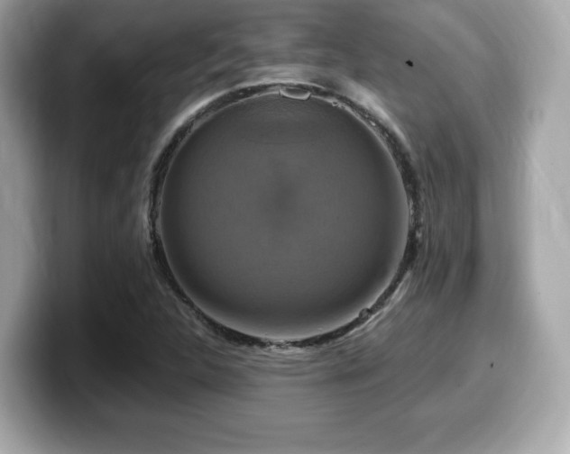X0000099951312200805231313