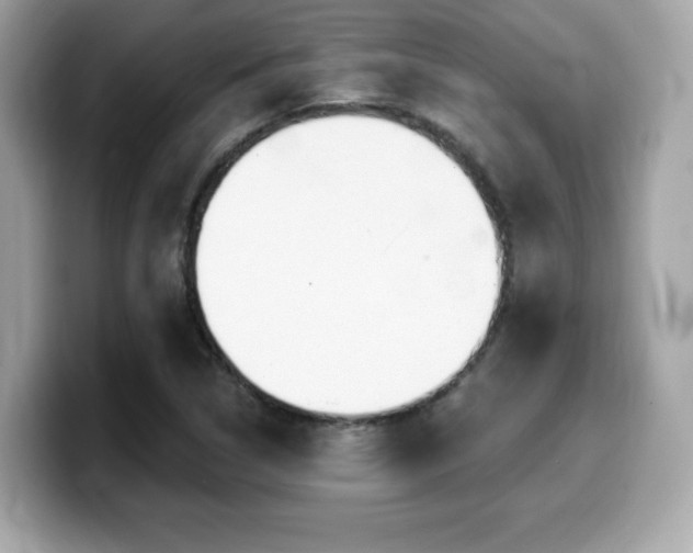 X0000099951314200805231313