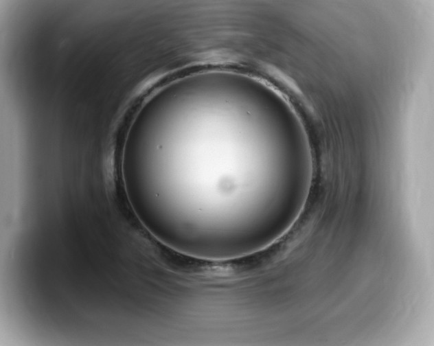 X0000099951315200805231313