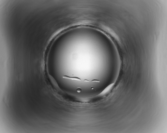 X0000099951316200805231313