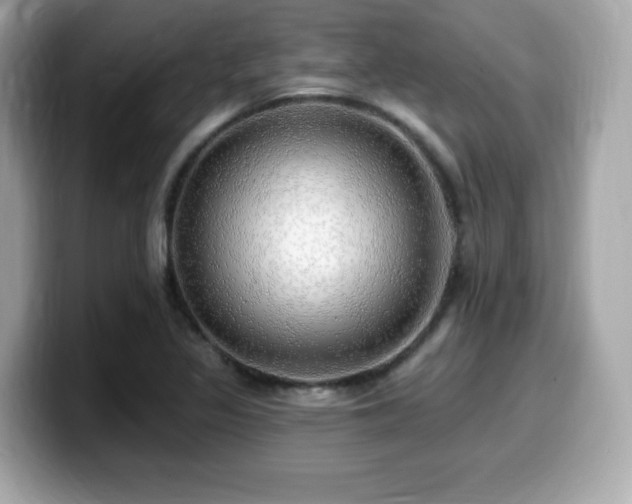 X0000099951317200805231313