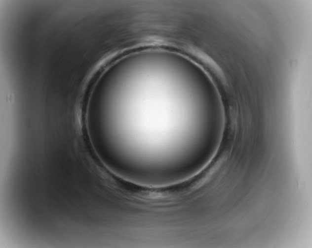 X0000099951318200805231313