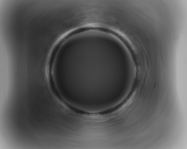 X0000099951319200805231313