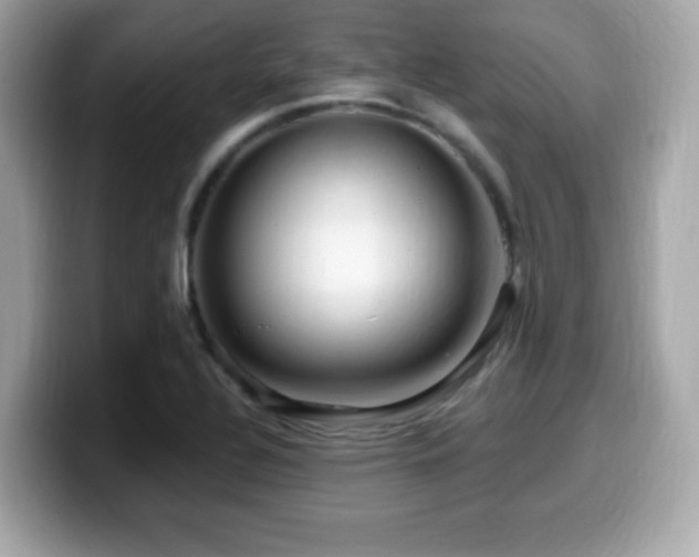 X0000099951320200805231313