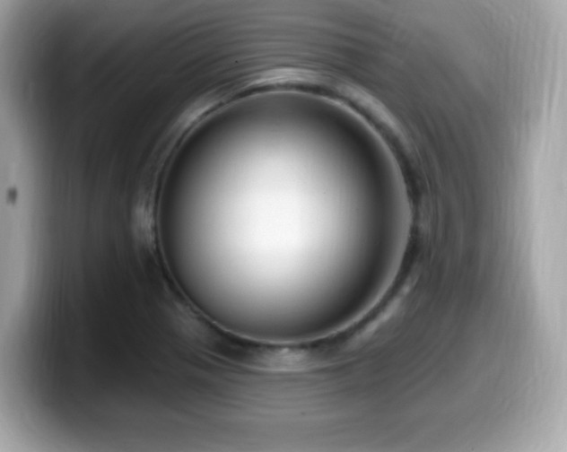 X0000099951321200805231313