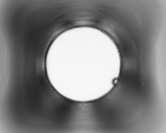 X0000099951322200805231313