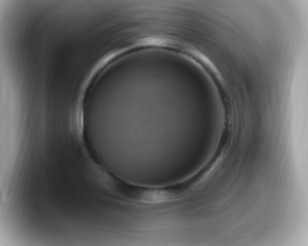X0000099951323200805231313