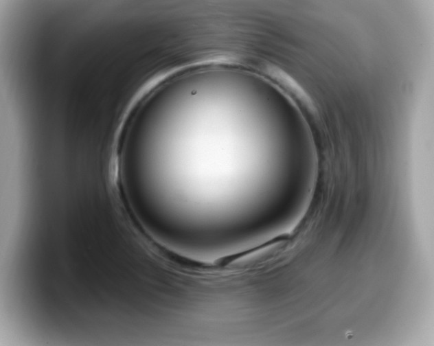 X0000099951324200805231313