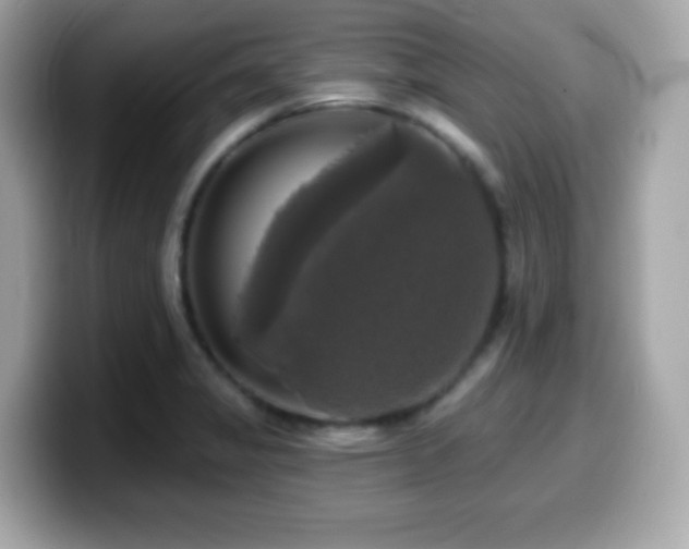 X0000099951325200805231313