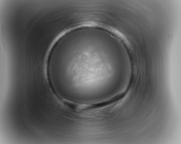 X0000099951326200805231313