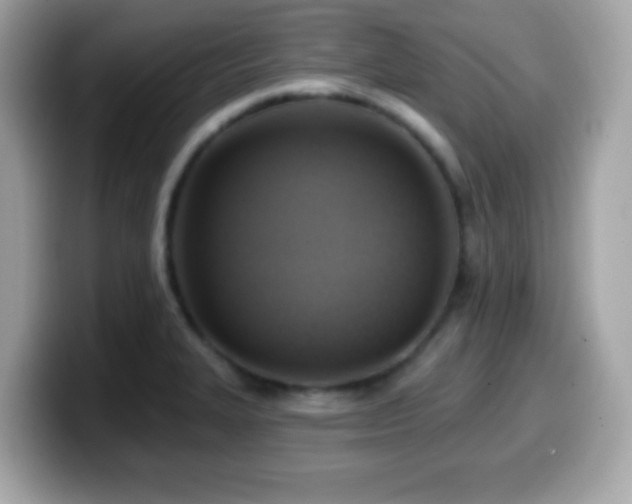 X0000099951327200805231313