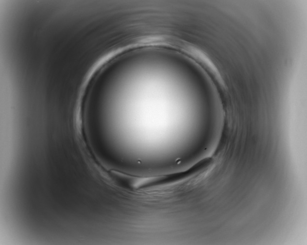 X0000099951328200805231313